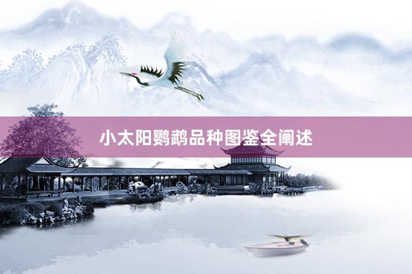 小太阳鹦鹉品种图鉴全阐述